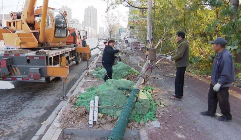 什么是园林绿化?园林绿化施工全过程 什么是园林绿化?园林绿化施工全过程