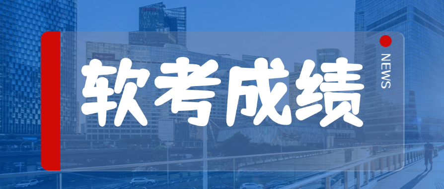 2025年上半年软考成绩已出！速来查分！